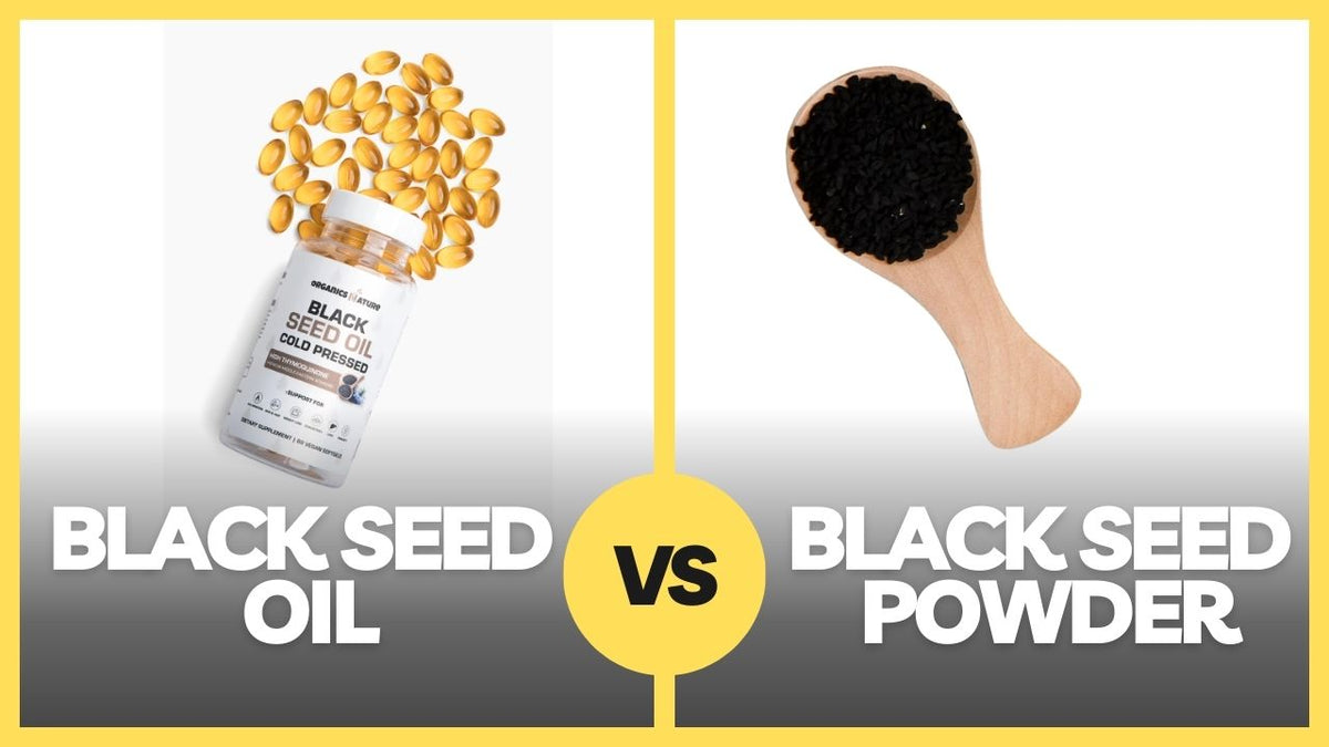 A Deep Dive into Black Seed Oil Vs. Powder Organics Nature