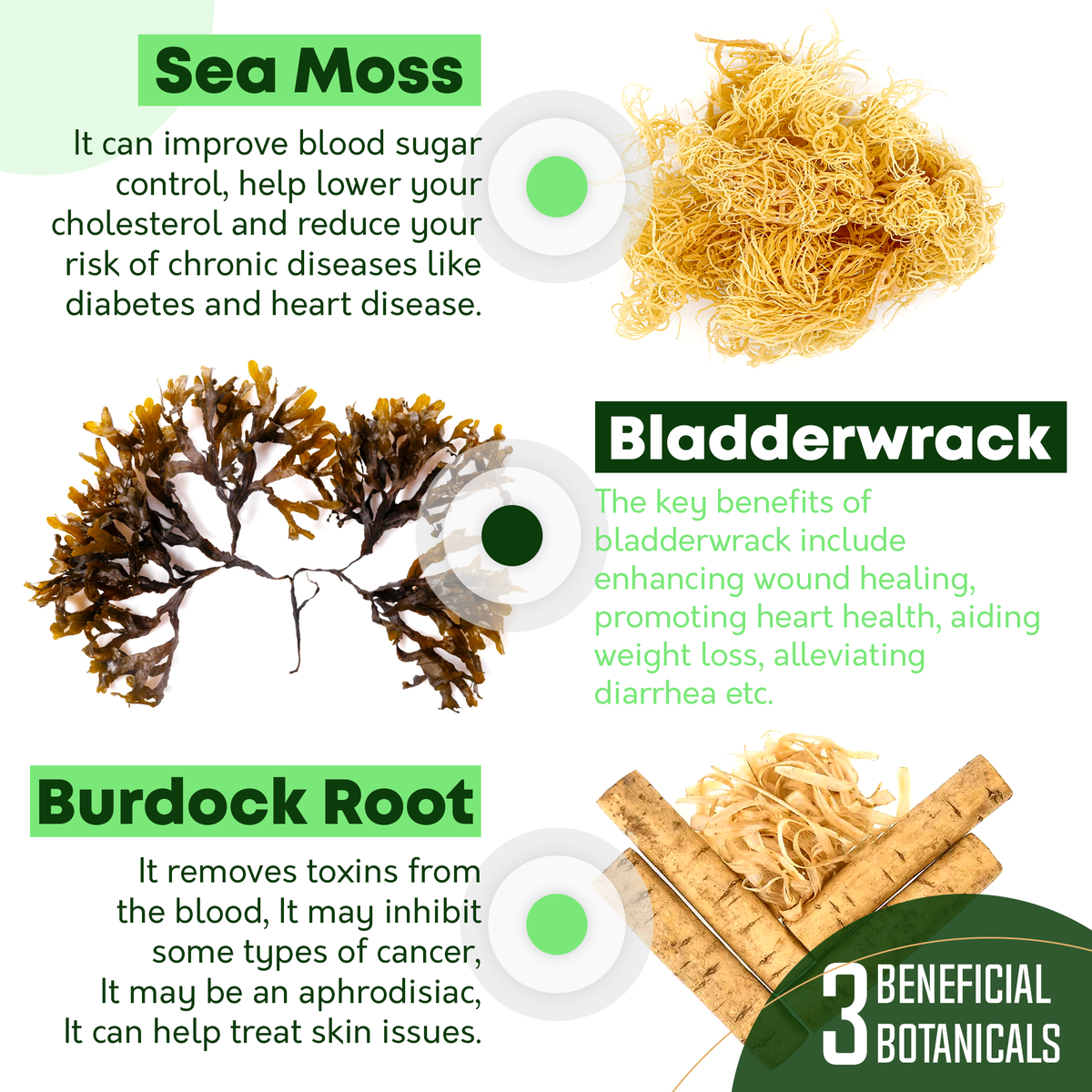Irish Sea Moss Capsules Wild Sea Moss Pills Organics Nature