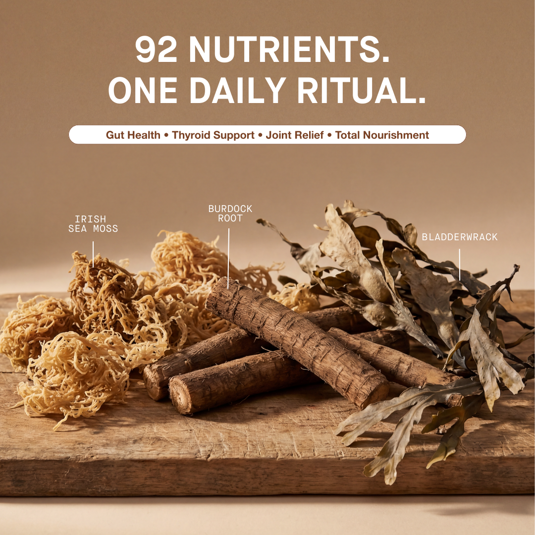 Sea Moss With Bladderwrack & Burdock Root - 1 Bottle