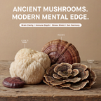 Superfood Mushroom Blend Capsules