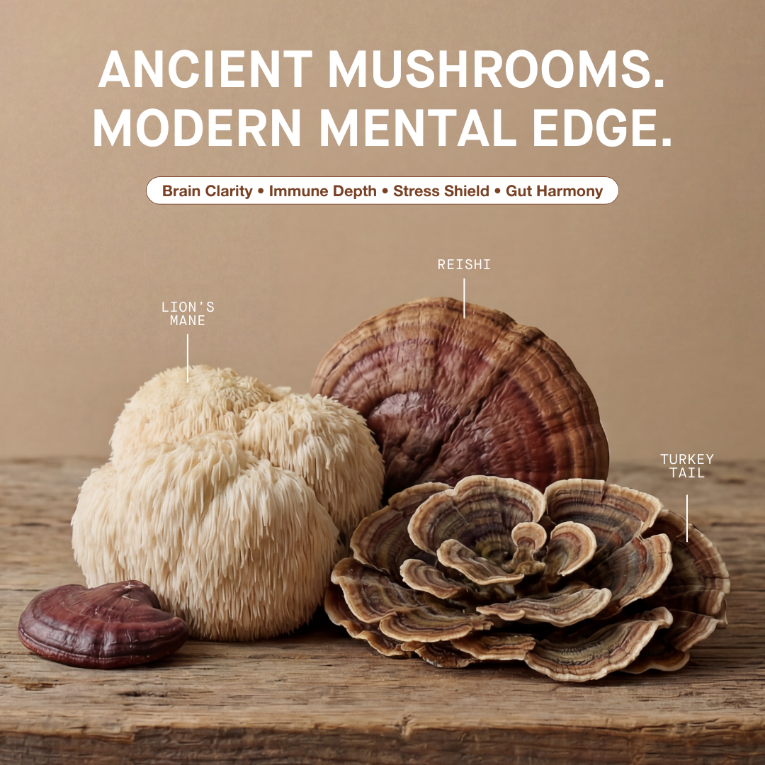 Superfood Mushroom Blend Capsules
