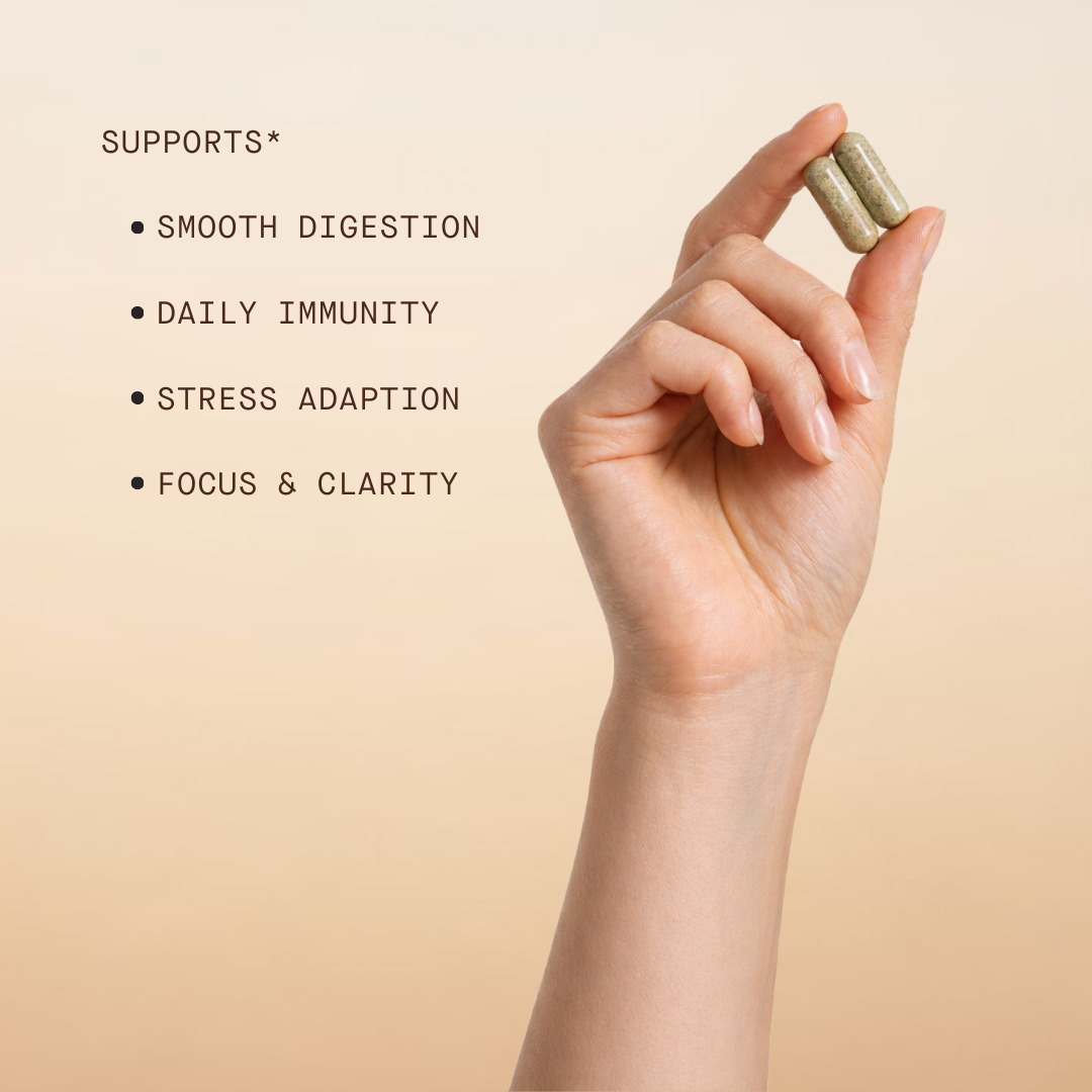 Superfood Mushroom Blend Capsules