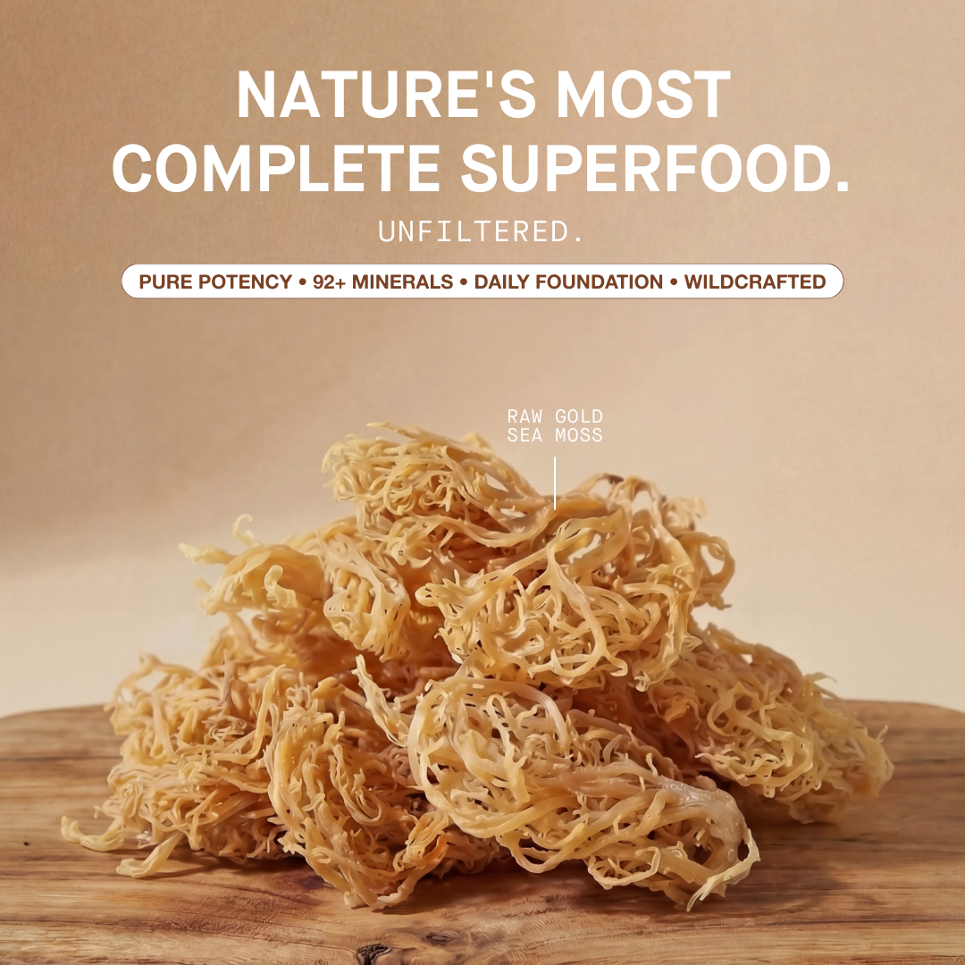 Raw Wildcrafted Sea Moss 4oz