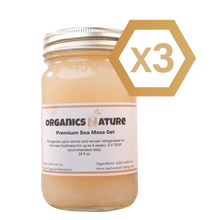 Load image into Gallery viewer, Sea Moss Gel - 16oz Jar x 3
